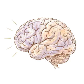 A hand-drawn brain receiving four gold signals